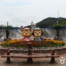 대전오월드 Daum카페