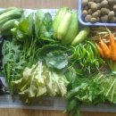 비전농장 이미지