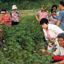 김옥태 농장 이미지