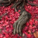 (주)헤르지아 이미지