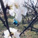 최용화 복싱클럽 이미지