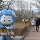 천장호 출렁다리 이미지