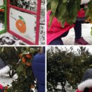 정우배농장 이미지