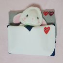 2018-03-0008 | 꼼데,일본쇼핑리스트,꼭사야하는것,꼼데가르송 후기,도쿄 쇼핑,꼼데가르송 위치,사이즈,비교,싸게사는법...