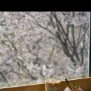 송라예술숲 카페 추천 , 남양주숲속카페 '숲속카페 에이,플로르' 후기 !