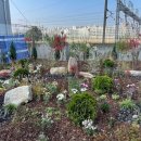 힐링정원 이미지