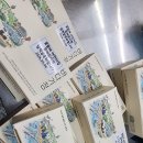 바다유치원 | 꽃뜰에 어린이집·뜰에유치원 입학 축하 신입생 환영회 단체떡 후기 (feat. 바다기정 &amp; 신사임당떡)