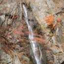 개똥이네 이미지