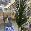 복어찬가 | 청주샤브샤브 복어의 신세계, 청주 복어찬가 방문 후기