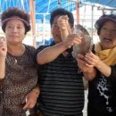 복만호 좌대낚시 네이버블로그