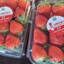 정병화 농장 이미지