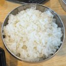 고향시락국 | 어방동 맛집 고향 소갈비찜 1인 10,900 혼밥 솔직 후기