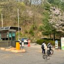 운중로225번길(판교공원로) 이미지