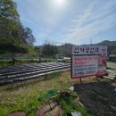 신차령산맥 | 안성민물새우메기수제비매운탕 국물 맛에 반해버린 신차령산맥 방문 후기입니다