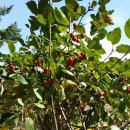 무럭이농장 이미지