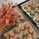 세라농장(2농장) 이미지