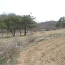 법수면사무소 이미지