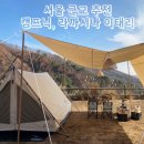 라 까시나 이태리 | 서울 근교 추천 가을에 가야 하는 억새밭 라까시나 이태리, 캠프닉 후기