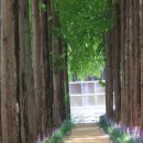 대전 갈마역 누리아파트 이미지