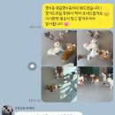 이웃집멍