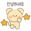 엠앤디 피티 이미지