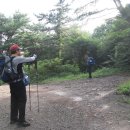 소호농장 이미지