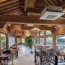 더포레스트 이미지