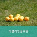 이탈리안골프존 이미지