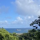 낭만고양이 판교점 | 그 시절 내가 좋아한 타이페이 🍉 (2)