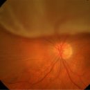 한빛동물병원 이미지