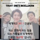 명동 인셀덤