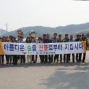 봉강면사무소 네이버블로그