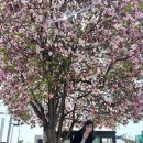 CU 강화교동도 | [강화] 강화도 갈만한 곳 놀 거리 ‘교동대룡시장’ 교동 데이트 코스