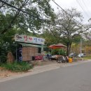 명산송이판매