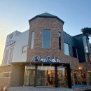 산동흑염소 이미지