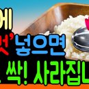 밥에 '이것' 넣으면 당뇨 싹!사라집니다 이미지