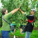 구인농장 이미지