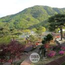 팔공산국립공원 갓바위야영장 이미지