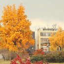 별미삼청수제비 이미지