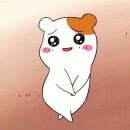 뷰티류