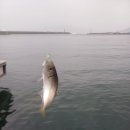 금진항 화장실 이미지