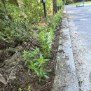 온천2동-10 이미지