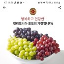 포도모바일 이미지