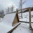 숲속트리하우스 이미지