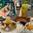 270-2575 | 필리핀 세부여행_모알보알 맛집 베티스 그릴,기념품,과일상점 열대과일 사기