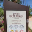 기장도예관광힐링촌 이미지