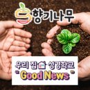 향기나무 이미지