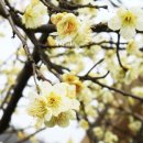 김해건설공업고등학교 이미지