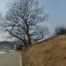 들말주유소 이미지