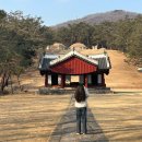 서울 헌릉과 인릉 이미지